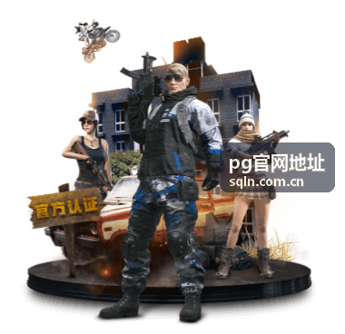 pg官网地址入口核对界面示意